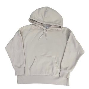 Aritzia Tna Boyfriend Hoodie